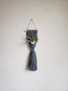 Air Plant Hanger Mermaid Tail - Grey