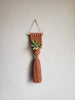 Air Plant Hanger Mermaid Tail - Camel