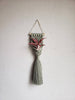 Air Plant Hanger Mermaid Tail - Sage Green